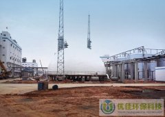 300立方獨(dú)立氣柜 造紙廠項目